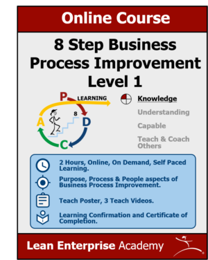 8 Step Business Process Improvement Skill Level 1 | Lean Academy